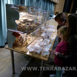 Terrabazar