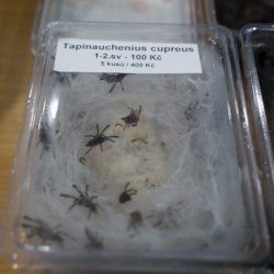 Terrabazar