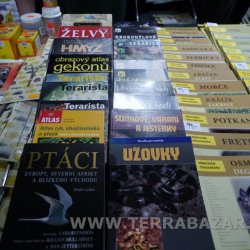 Terrabazar