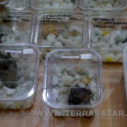 Terrabazar