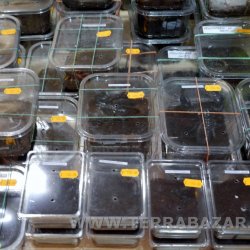 Terrabazar