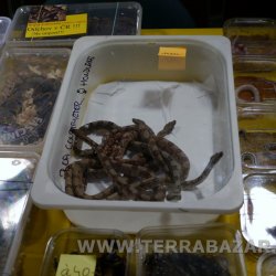 Terrabazar