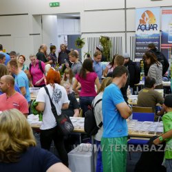 TERRABAZAR - 30.8.2014