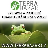 Terrabazar bannery