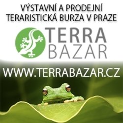 Terrabazar bannery