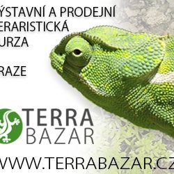 Terrabazar bannery