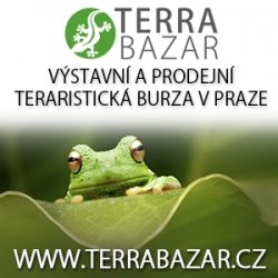 Terrabazar bannery