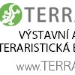 Terrabazar bannery