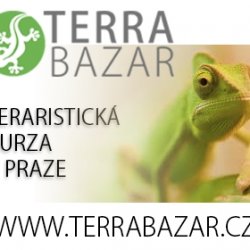 Terrabazar bannery