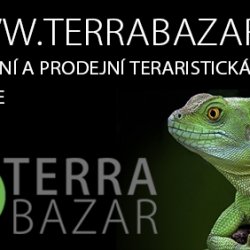 Terrabazar bannery