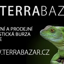 Terrabazar bannery