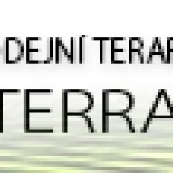 Terrabazar bannery