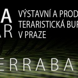 Terrabazar bannery