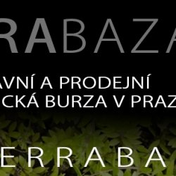 Terrabazar bannery